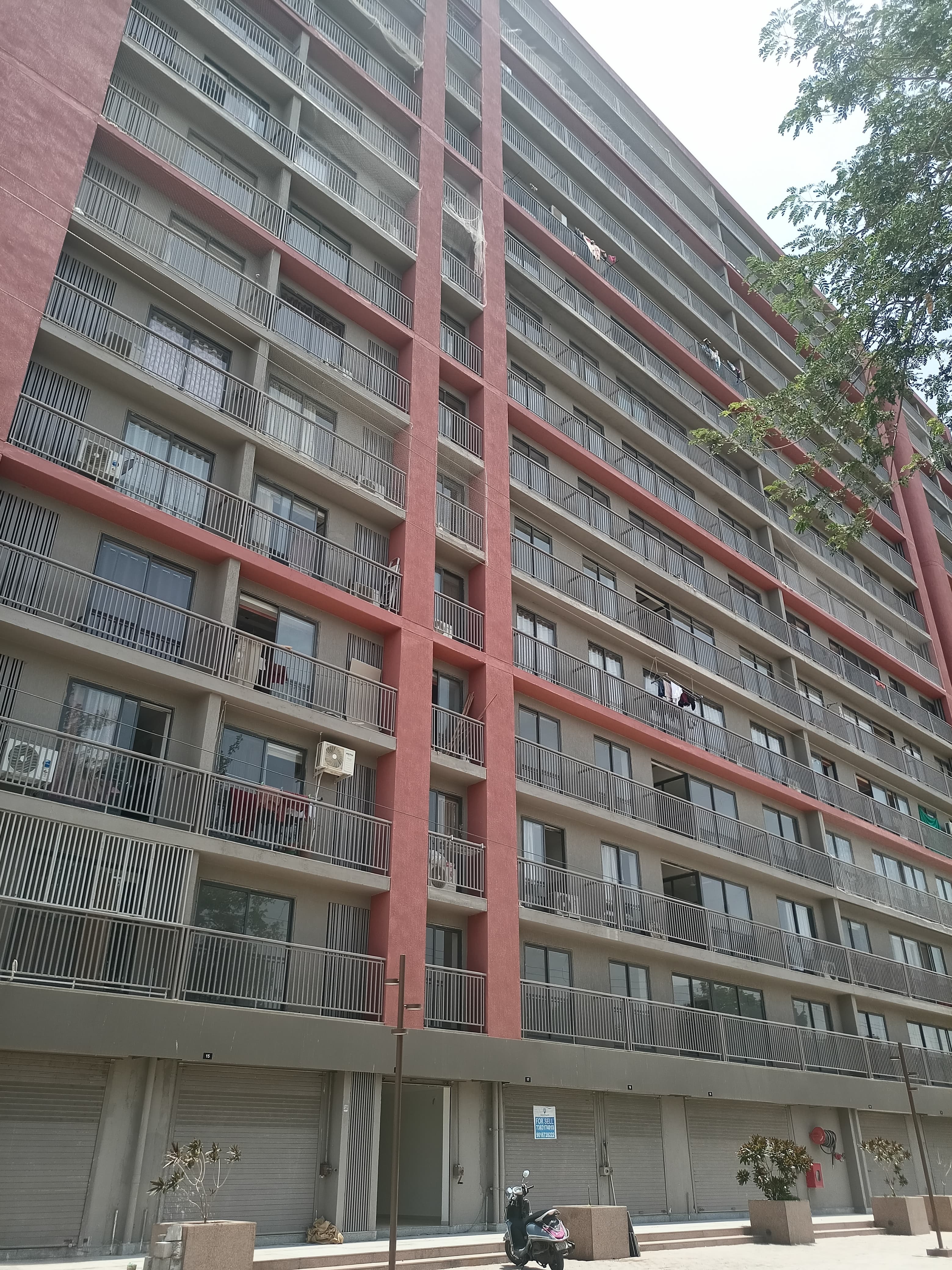 GF 717 Sq. Feet Commercial Shop for Rent in Vaishnodevi Ahmedabad - Media 8