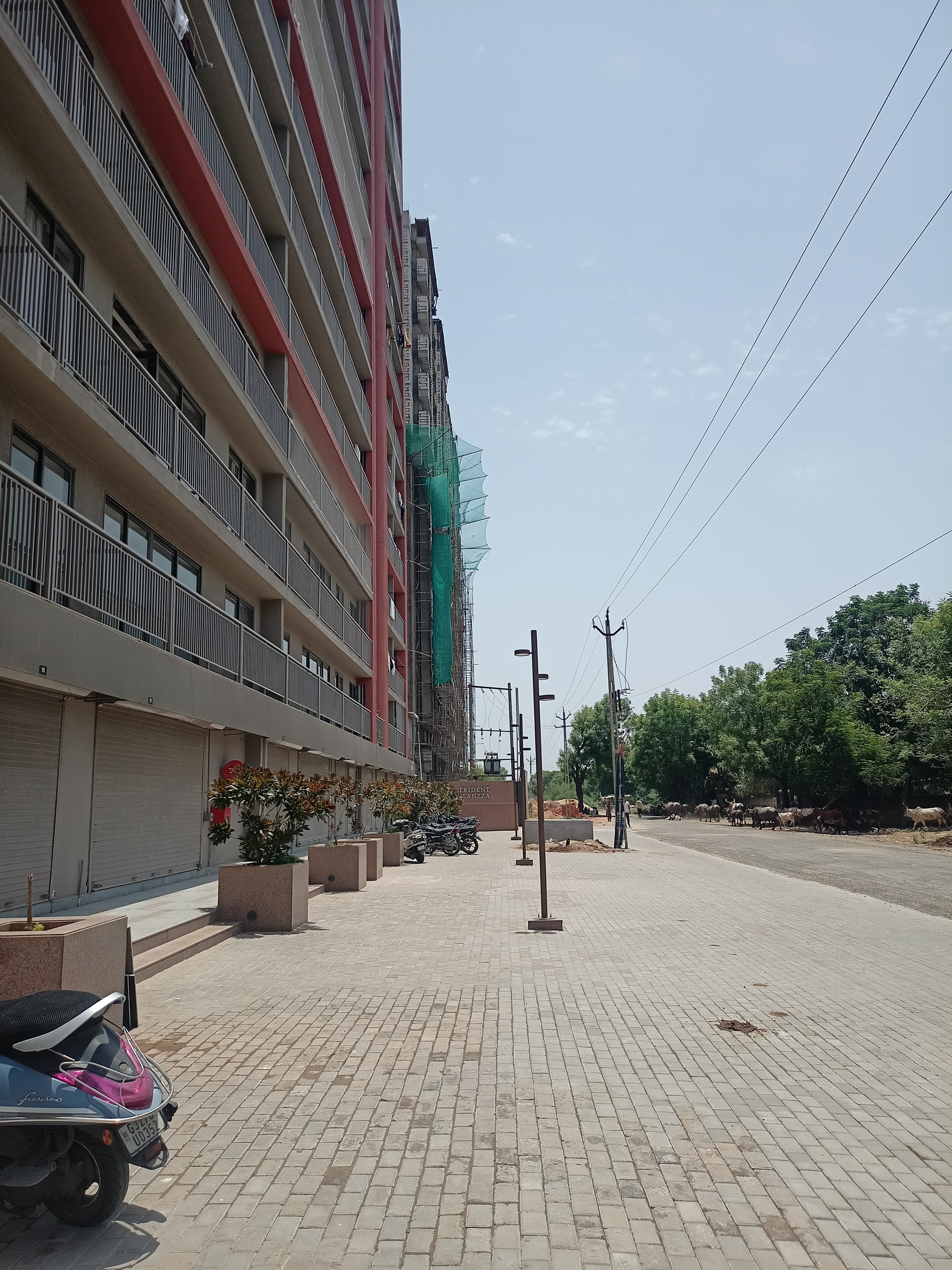 GF 717 Sq. Feet Commercial Shop for Rent in Vaishnodevi Ahmedabad - Media 9