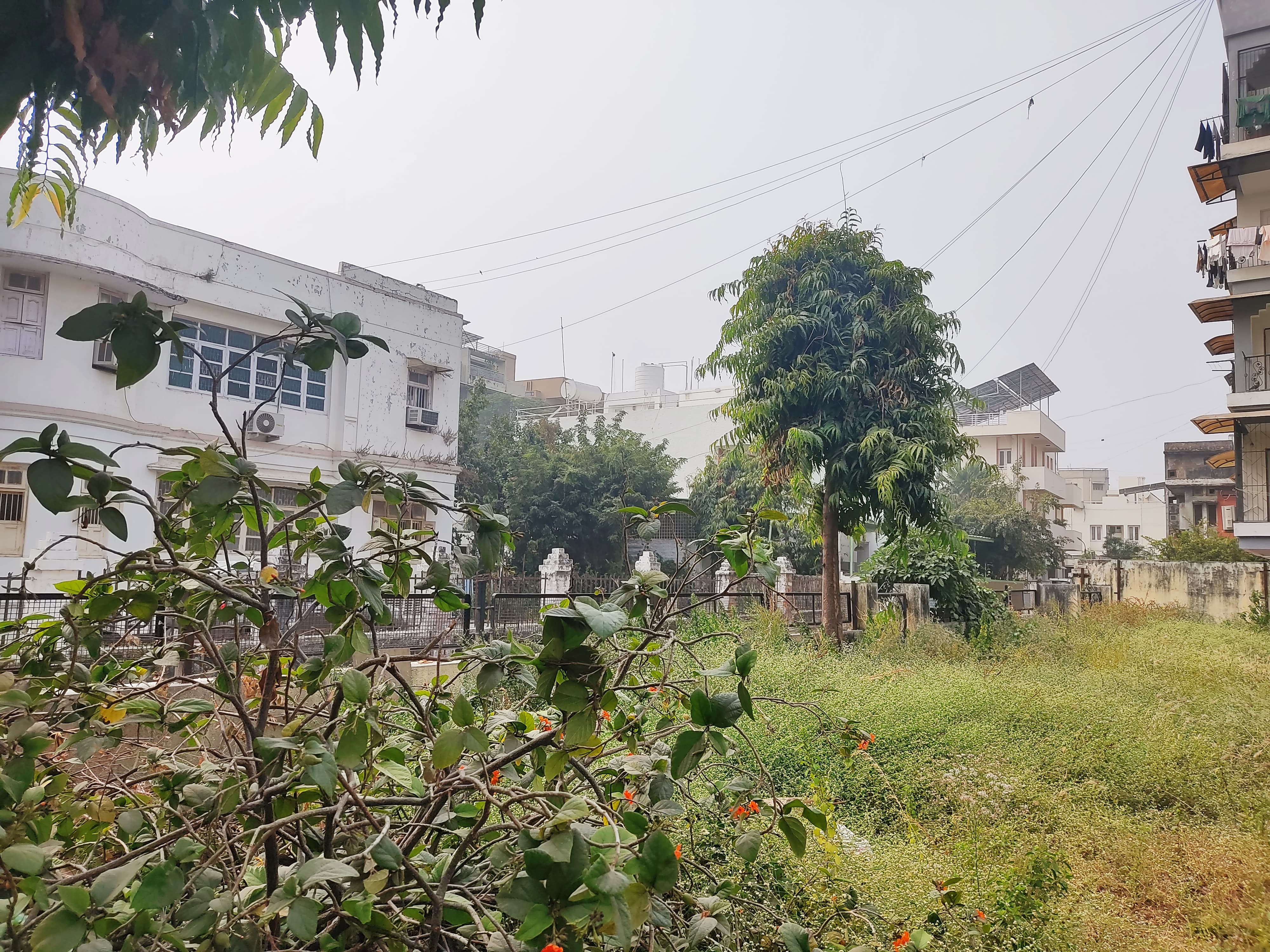 500 Sq. Yards Residential Plot for Sale in Usmanpura Ahmedabad - Media 3