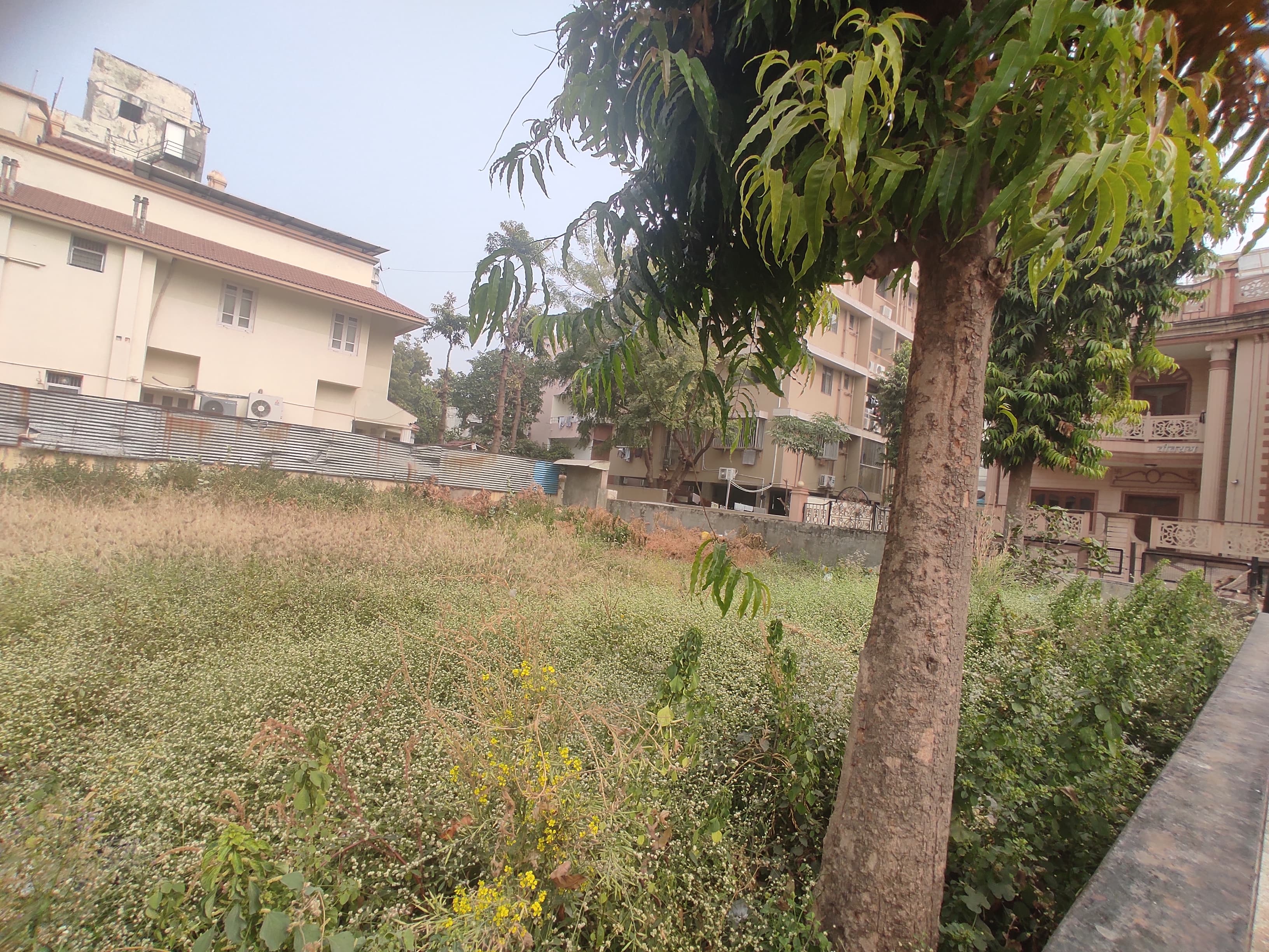 500 Sq. Yards Residential Plot for Sale in Usmanpura Ahmedabad - Media 7